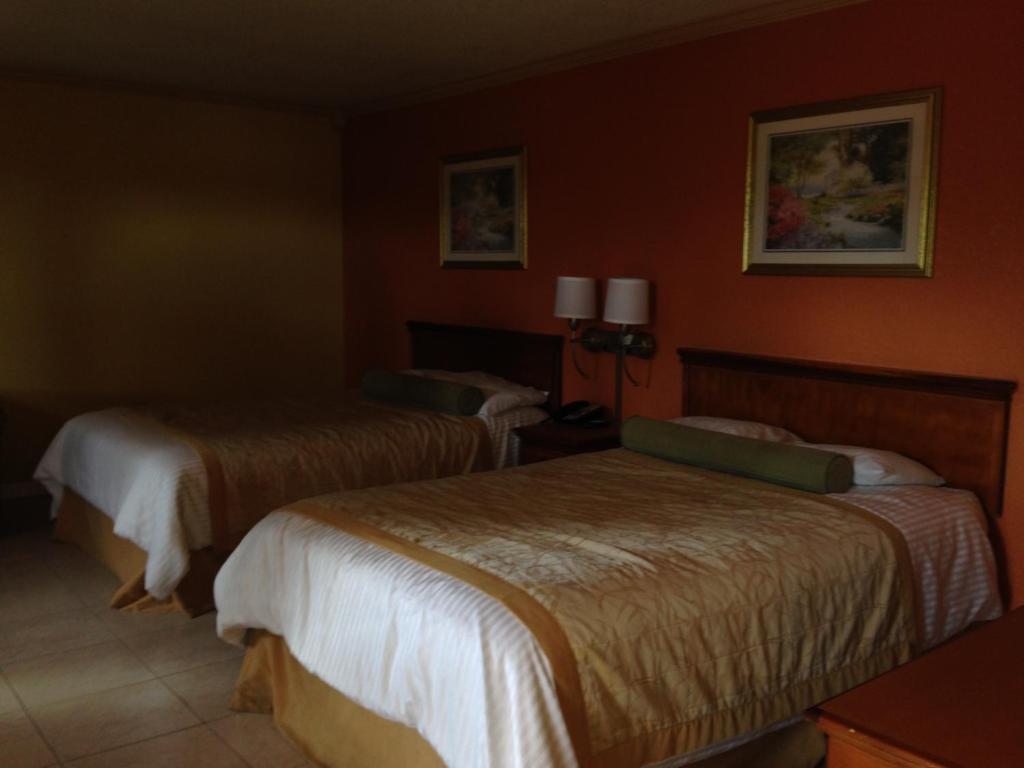 Americas Best Value Inn North Port Camera foto